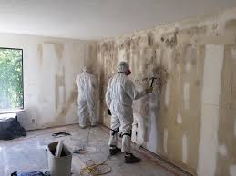 Best Attic Mold Removal in USA